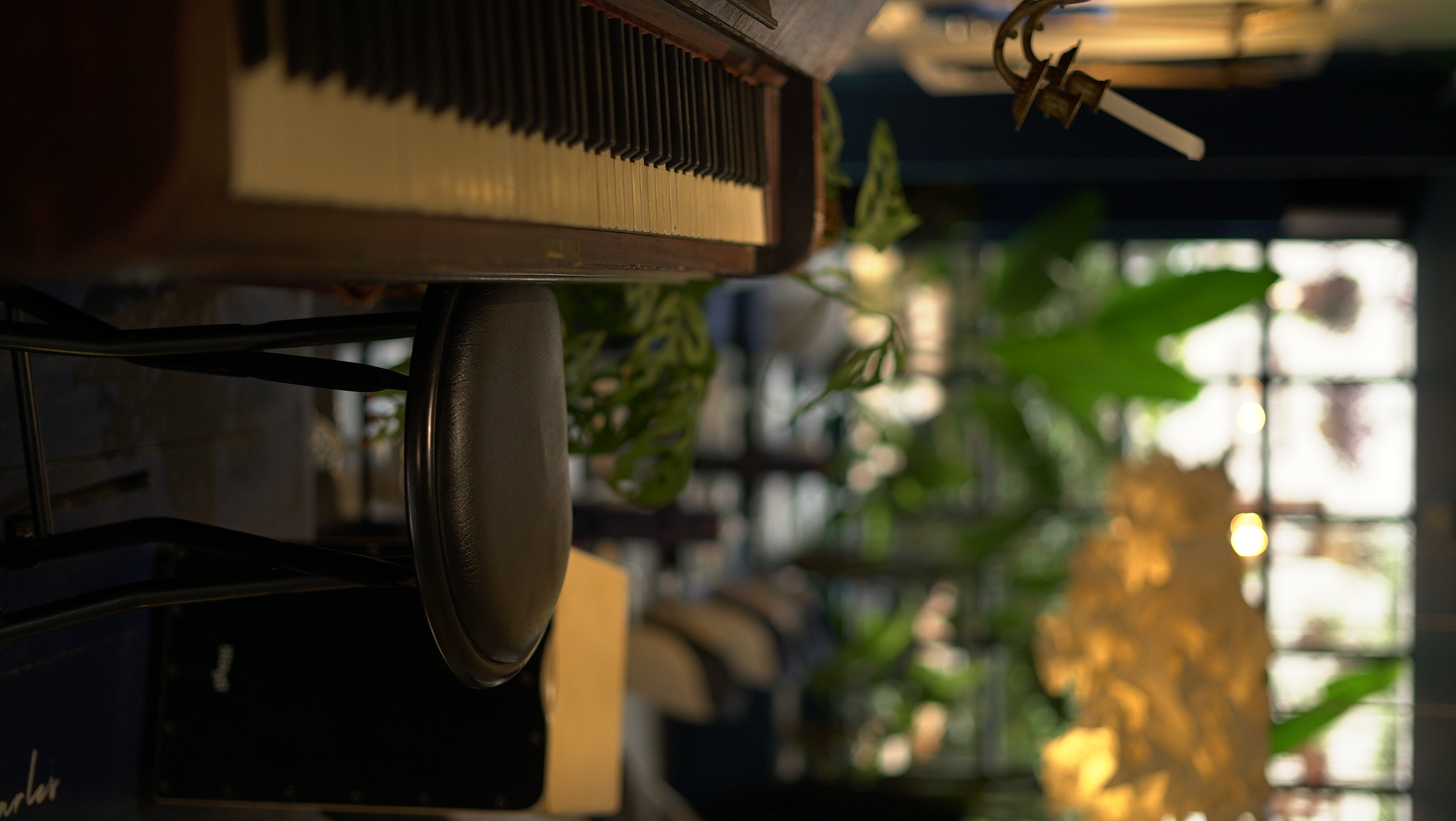 Forest path photography